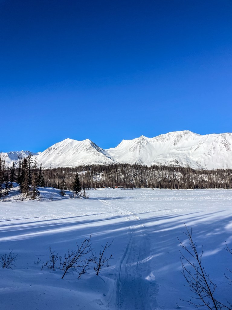 iditarod trail invitational cross country ski ITI trail journal 2024 ITI