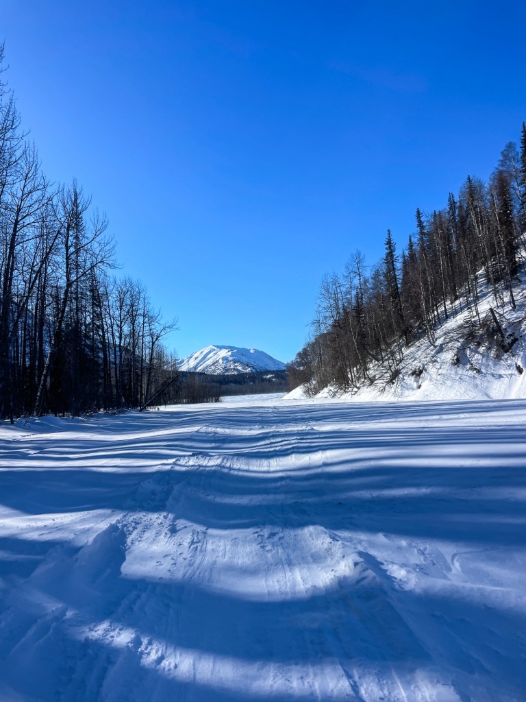 iditarod trail invitational cross country ski ITI trail journal 2024 ITI