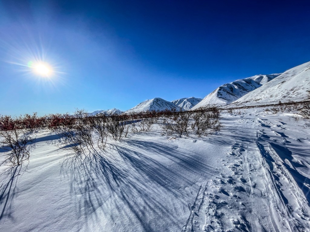 iditarod trail invitational cross country ski ITI trail journal 2024 ITI