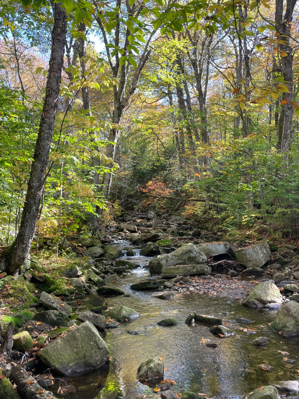 Glastenbury Residency | Part&nbsp;One