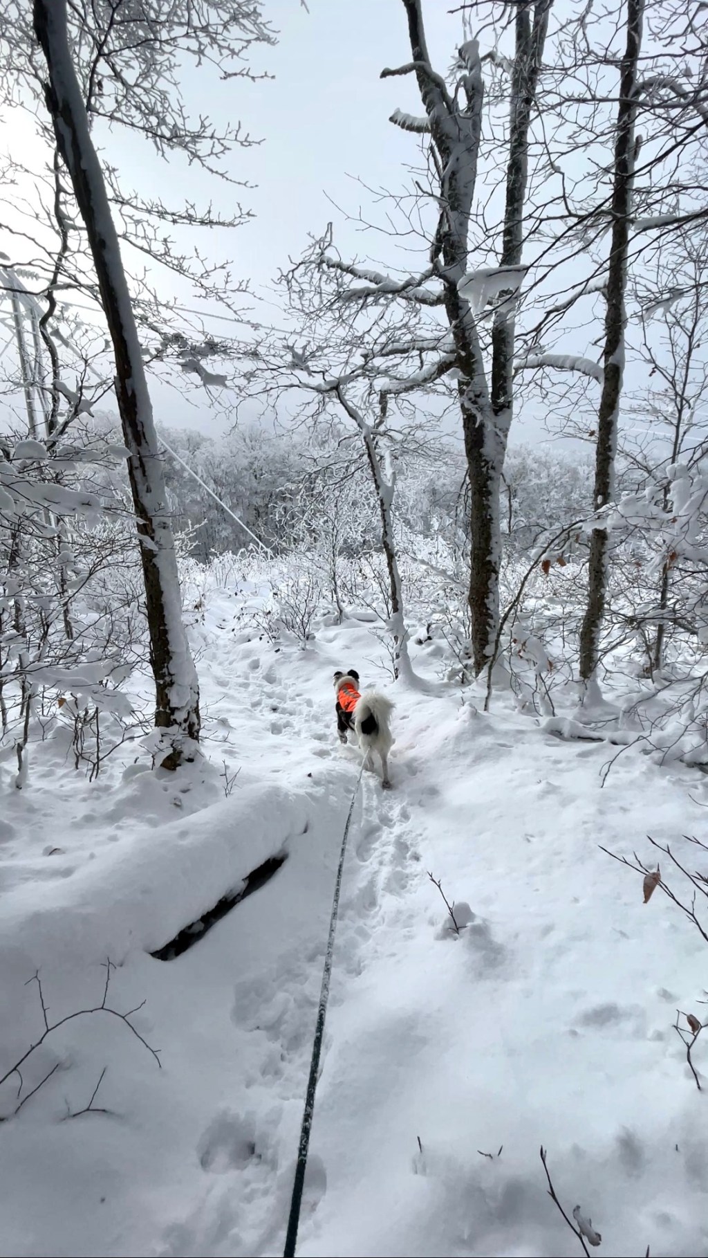 Glastenbury Residency | Part 2